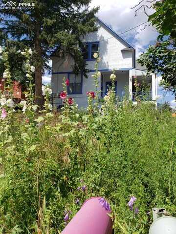 Deer Path, MANITOU SPRINGS, CO 80829