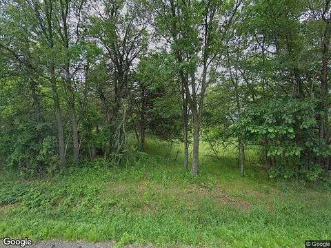 229Th, BETHEL, MN 55005