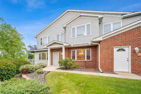 Hoya, LAKEVILLE, MN 55044