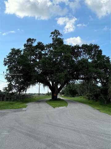 Coffee Mill Hammock, MOORE HAVEN, FL 33471