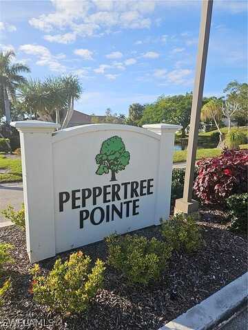 Peppertree Drive, Fort Myers, FL 33908