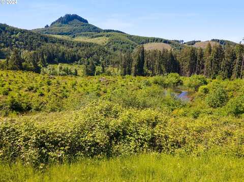 Taylor Butte, COTTAGE GROVE, OR 97424