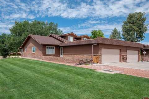 Margo Court, Montrose, CO 81401