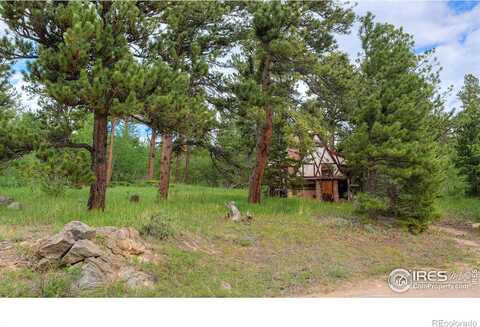 County Road 103, NEDERLAND, CO 80466