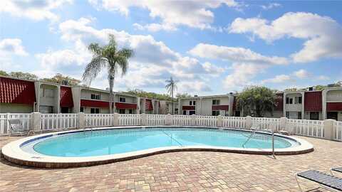 Pine Cone Circle, Clearwater, FL 33760