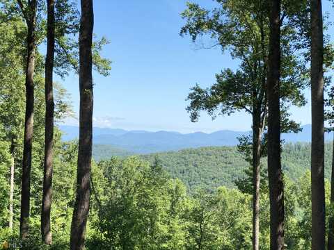 Smokerise, ELLIJAY, GA 30536