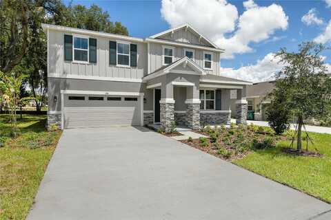 Foxtail Lane, Mount Dora, FL 32757