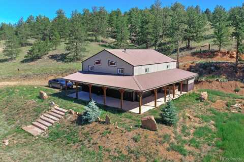 Salt Lick Circle, Florissant, CO 80816