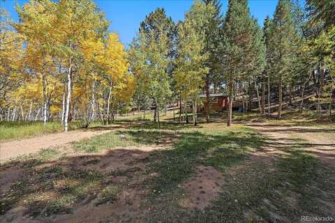 County Road 114, Bailey, CO 80421