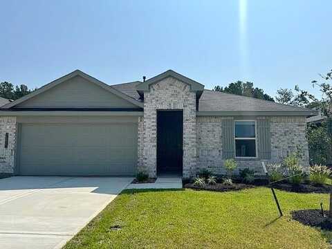 King Palm Trace, Magnolia, TX 77355