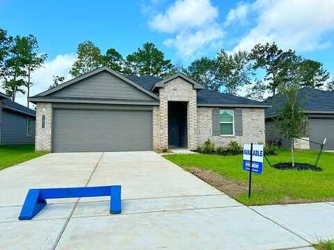 King Palm Trace, Magnolia, TX 77355