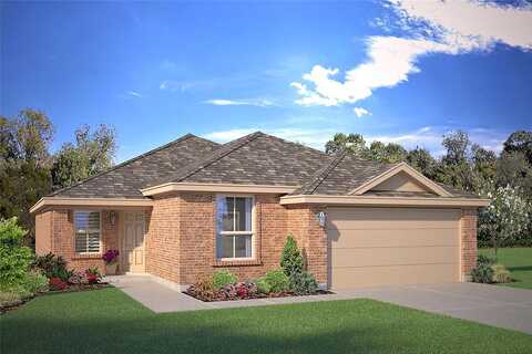 Lantana Trail, Boyd, TX 76023