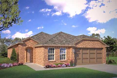 Lantana Trail, Boyd, TX 76023