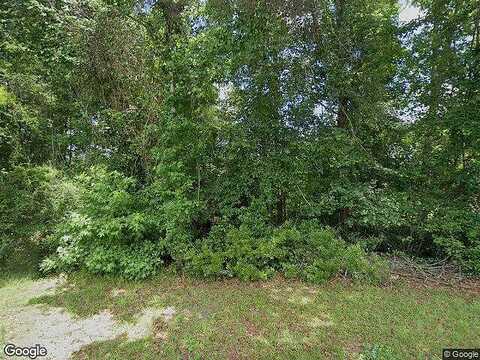 Daylily Drive, Springfield, GA 31329