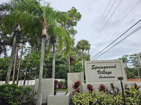 Springwood Circle, Longwood, FL 32750