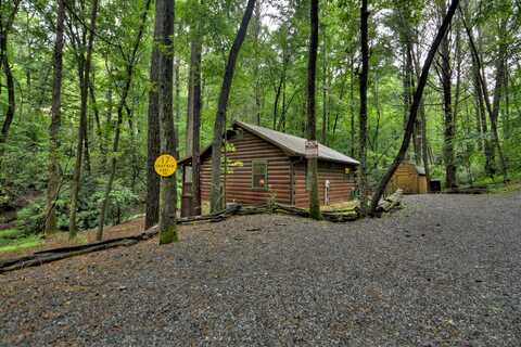 Chapman Lake Trail, Blue Ridge, GA 30513