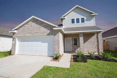 Bristle Cone, CONROE, TX 77302