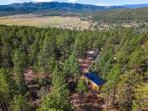 West View, Pagosa Springs, CO 81147