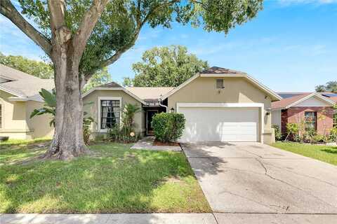 Carnelian Drive, Riverview, FL 33578