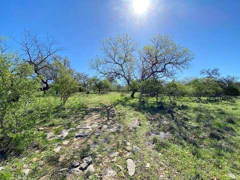 Deer, FREDERICKSBURG, TX 78624