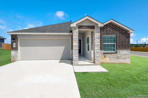 American Elm, Bulverde, TX 78163