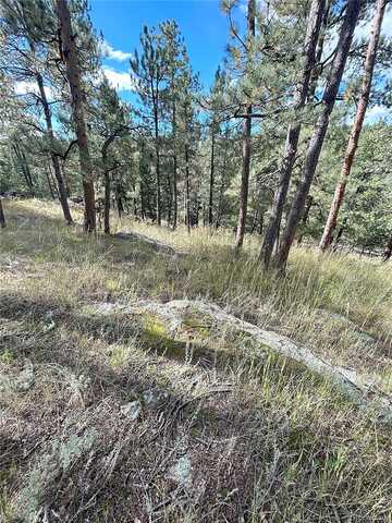 Road A, EVERGREEN, CO 80439