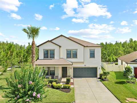 Southern Charm Drive, Land O Lakes, FL 34637