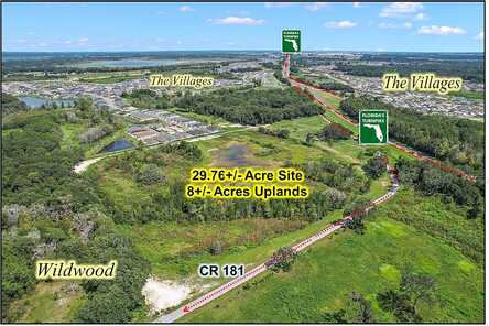 County Road 181, WILDWOOD, FL 34785