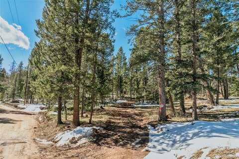 Pine Grove, CONIFER, CO 80433