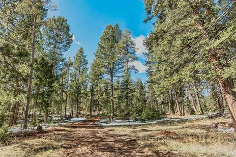 Pine Grove, CONIFER, CO 80433