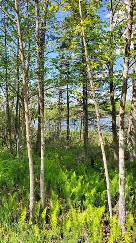 340Th, BAGLEY, MN 56621