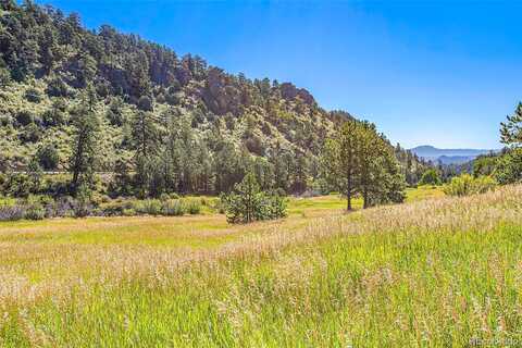 Reserve, PINE, CO 80470