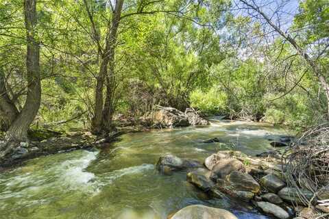 Shady, IDLEDALE, CO 80453