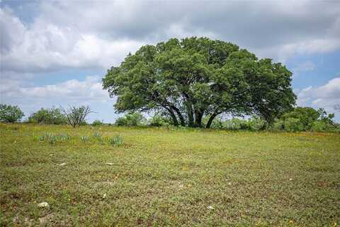 Tract 2 County Road 292, Early, TX 76802