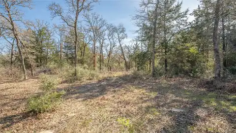 Tbd Pr 3221, Rockdale, TX 76567