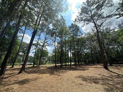 Tbd Meadow Lake Road, Cleveland, TX 77328