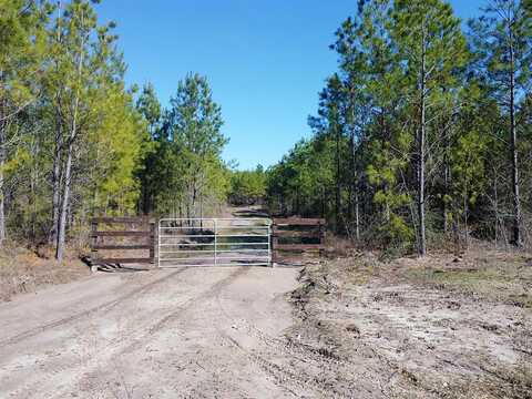 Tbd Josserand Road, Groveton, TX 75845