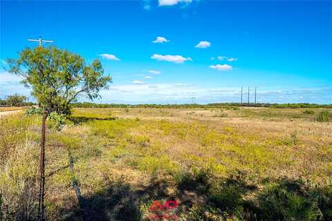 Tbd County Road 351, Anson, TX 79501