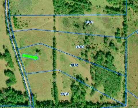 Tbd County Road 3385, Lovelady, TX 75851