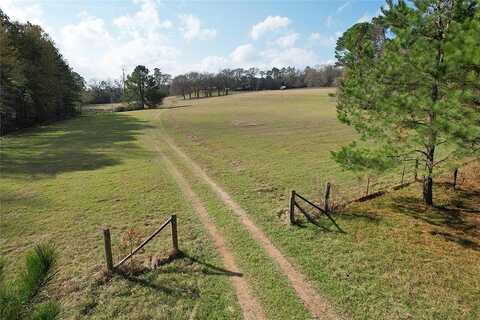 Tbd County Rd 1585, Grapeland, TX 75844