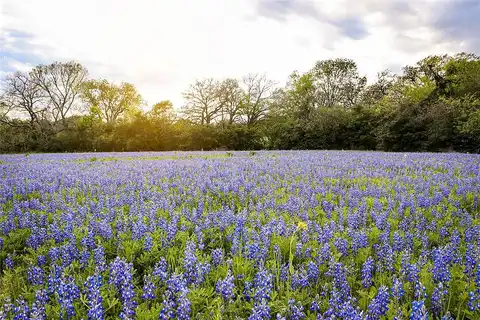 Old Masonic Road, Lot 1, Brenham, TX 77833