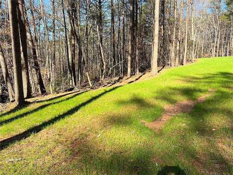 Lot 15 Mineral Springs Road, Ball Ground, GA 30107