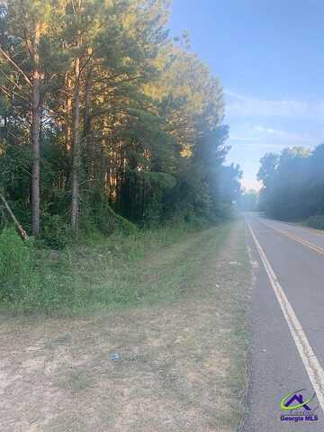 Laidler Road, Hawkinsville, GA 31036