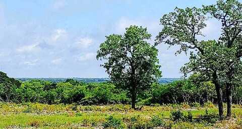 Cr 250 Road, Burnet, TX 78611