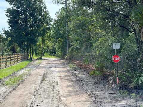 County Road 335, Other City In The State Of Florida, FL 32110