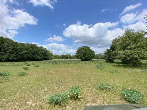 Acres Lot 9, Hwy 30, Bedias, TX 77831