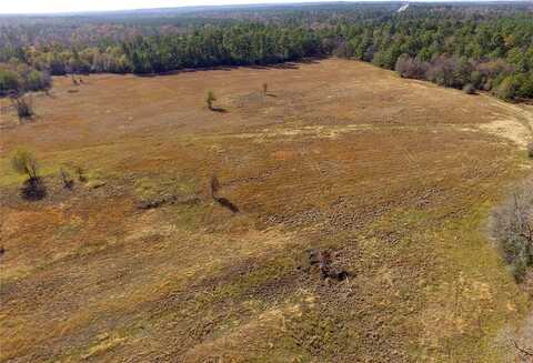 Acres Tract 2 Tbd Percy Howard Road Road, Huntsville, TX 77340