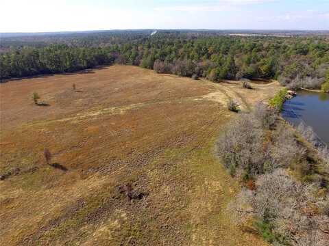 Acres Tract 1 Tbd Percy Howard Rd, Huntsville, TX 77320