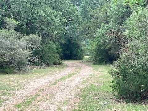 Private Road 1021, Hallettsville, TX 77964