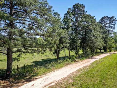 Acres Black Jack Rd, Huntsville, TX 77340